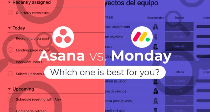 Asana vs Monday: Which Project Management Tool is Best for You? - Rambox